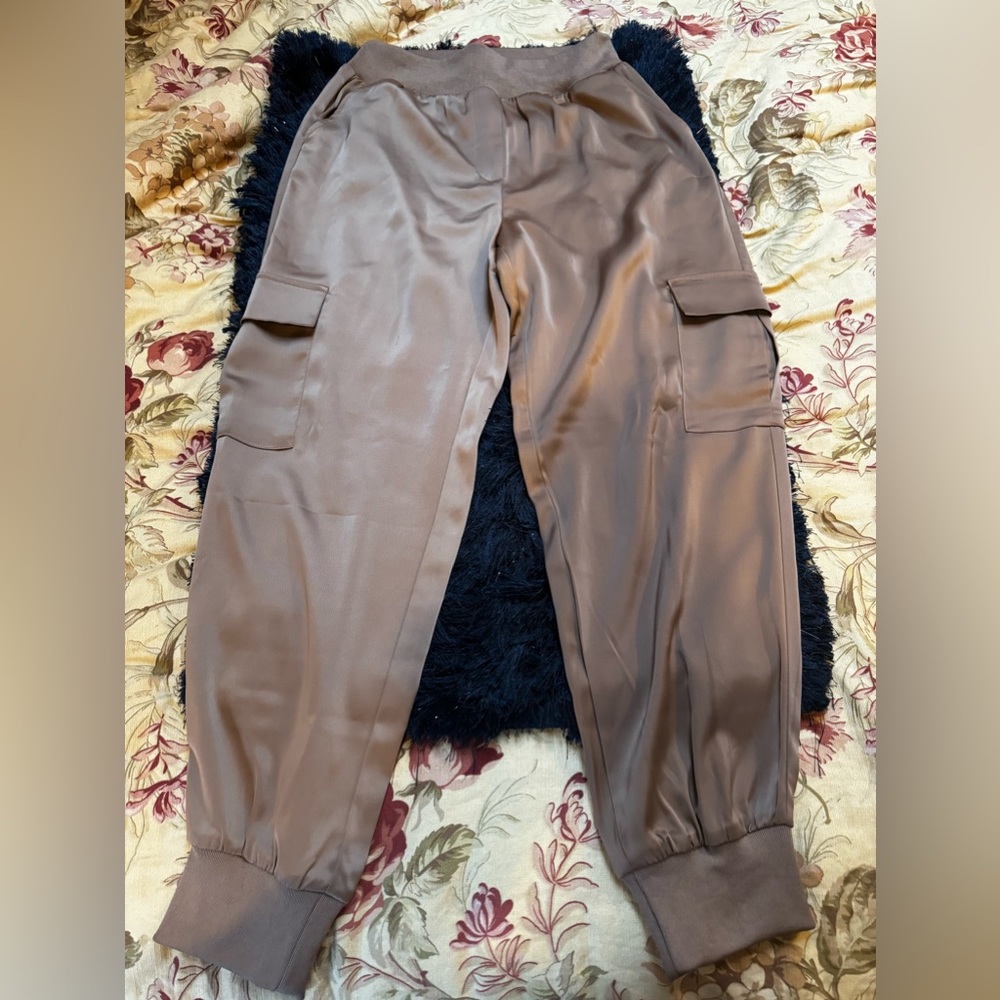 Rachel Zoe pants. Size large. Never worn.